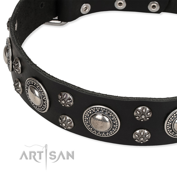 Quick to fasten leather dog collar with almost unbreakable non-rusting buckle and D-ring
