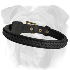 English Bulldog Braided Leather Collar Polished Edges 