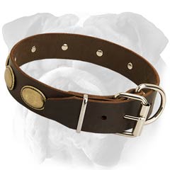 Safe Leather Dog Collar