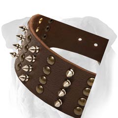 Leather English Bulldog Collar with Studs and Spikes