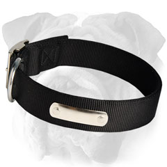 Safe Nylon Dog Collar