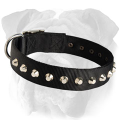 Amazing Nylon Dog Collar