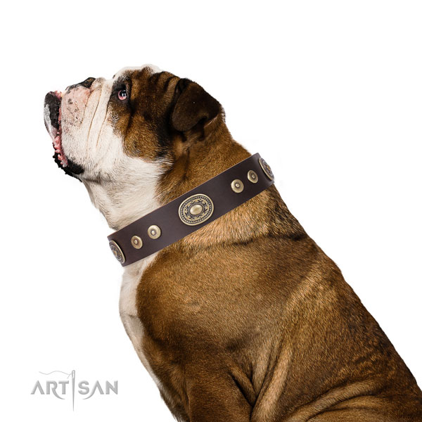 Fashionable decorated leather dog collar for daily walking