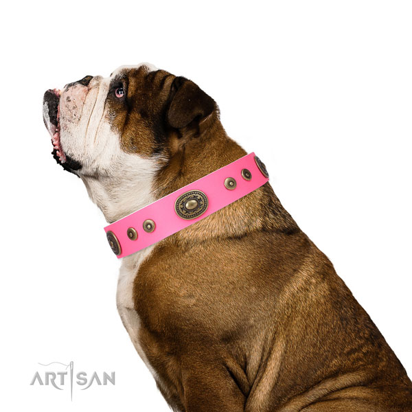 Amazing adorned natural leather dog collar for easy wearing