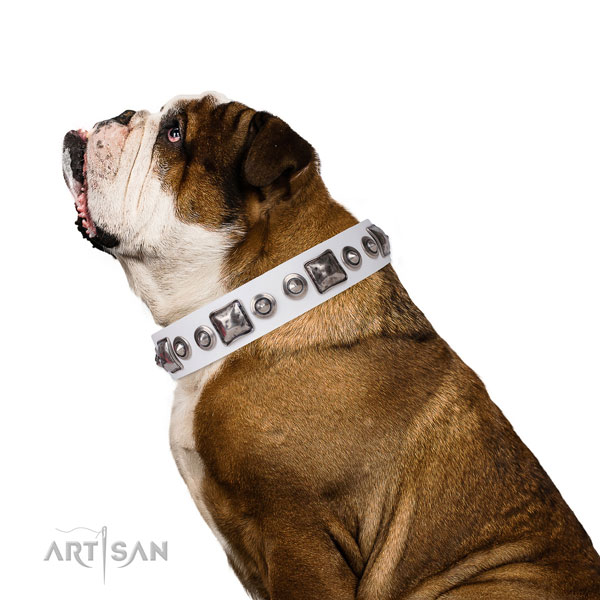 Unusual embellished natural leather dog collar for stylish walking