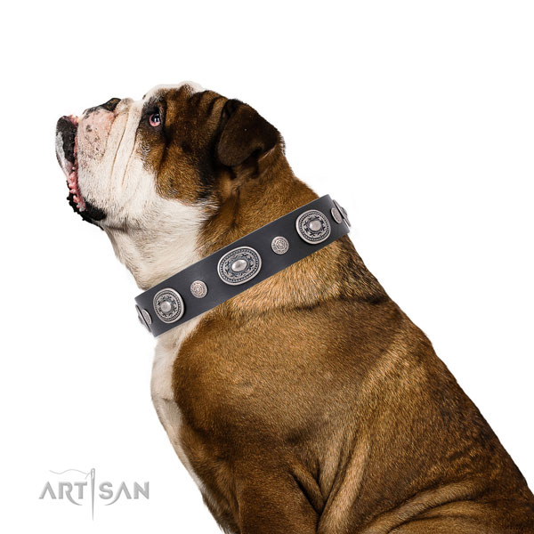 Corrosion resistant buckle and D-ring on leather dog collar for daily use