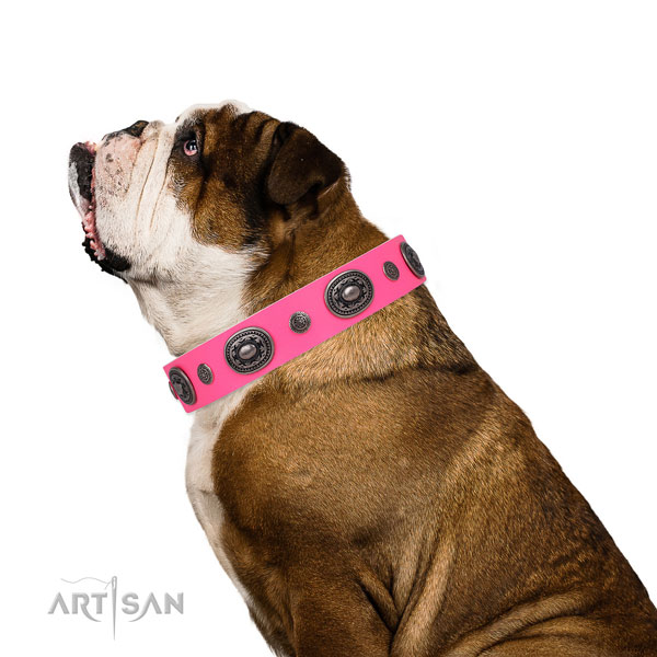 Leather dog collar with corrosion proof buckle and D-ring for daily use