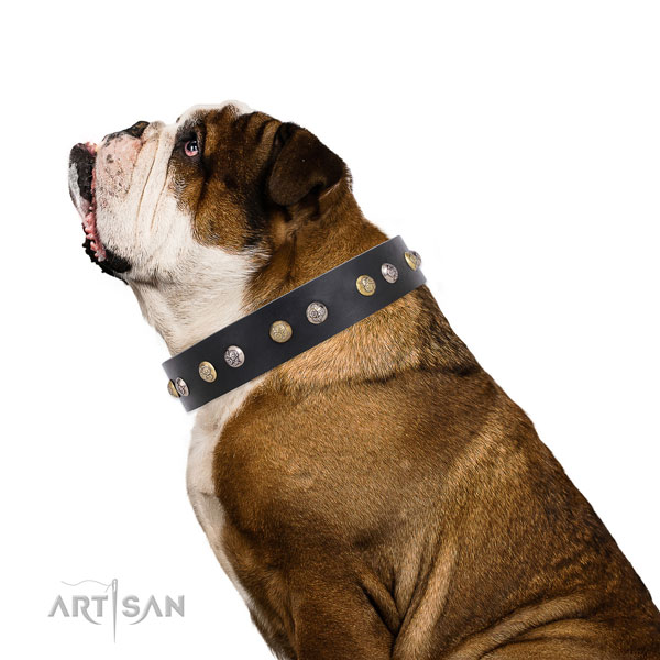 Full grain leather dog collar with durable buckle and D-ring for handy use