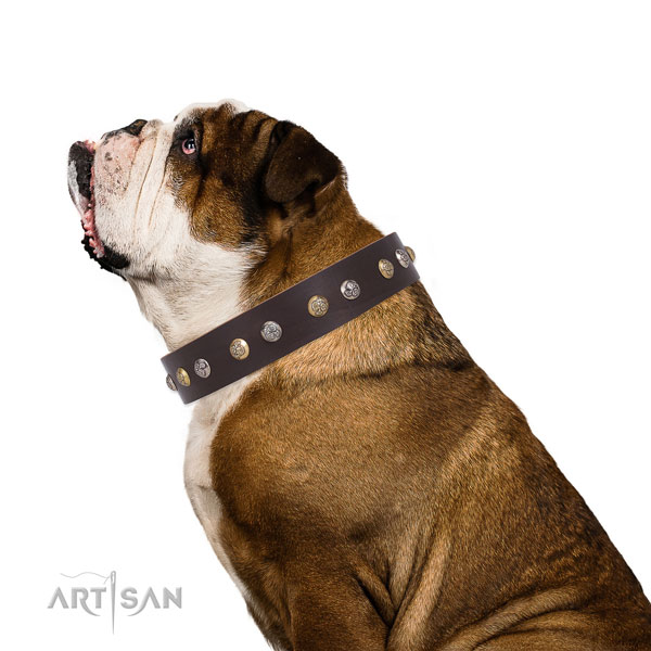 Full grain leather dog collar with strong buckle and D-ring for handy use