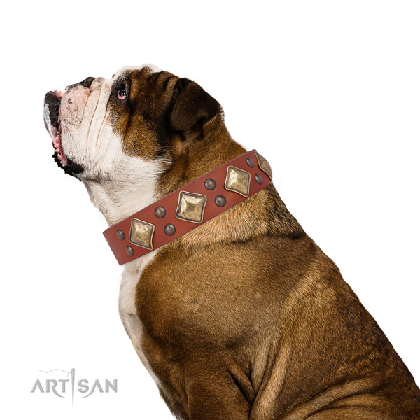 Comfy wearing adorned dog collar made of durable natural leather