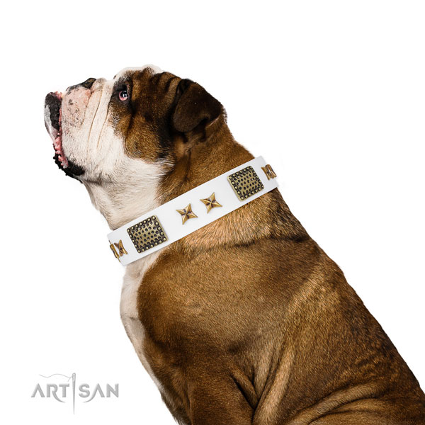 Exquisite adornments on walking natural genuine leather dog collar
