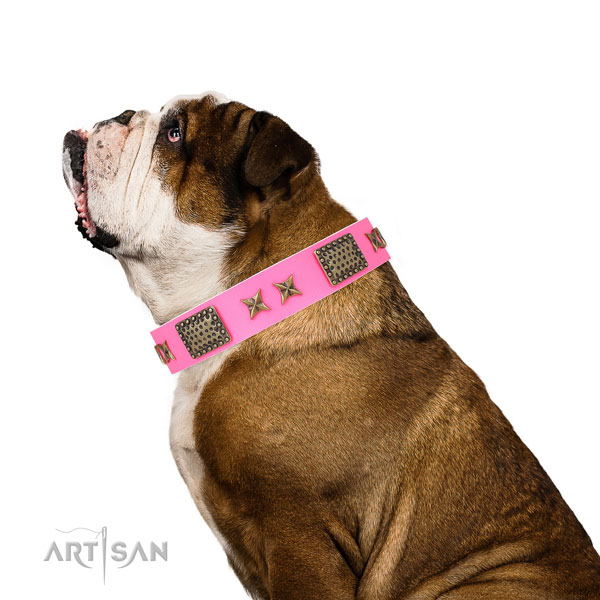 Unique studs on basic training genuine leather dog collar