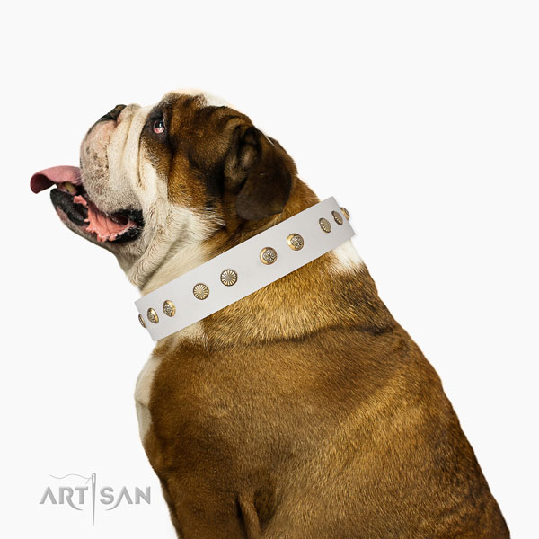 Unique studs on fancy walking genuine leather dog collar
