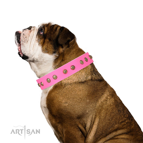 Impressive adornments on easy wearing leather dog collar