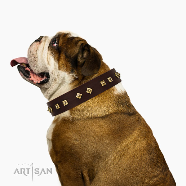 Significant adornments on easy wearing full grain natural leather dog collar