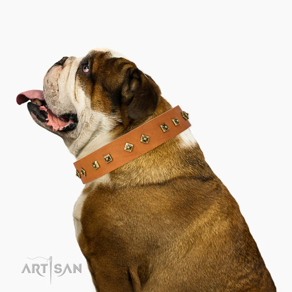 Inimitable adornments on stylish walking dog collar