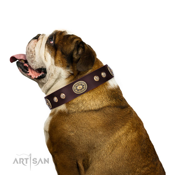 Unusual embellishments on handy use dog collar