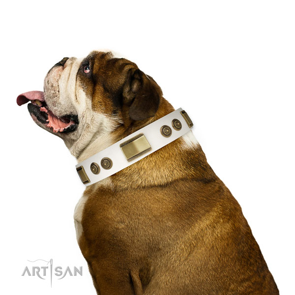 Top rate fancy walking dog collar of natural leather