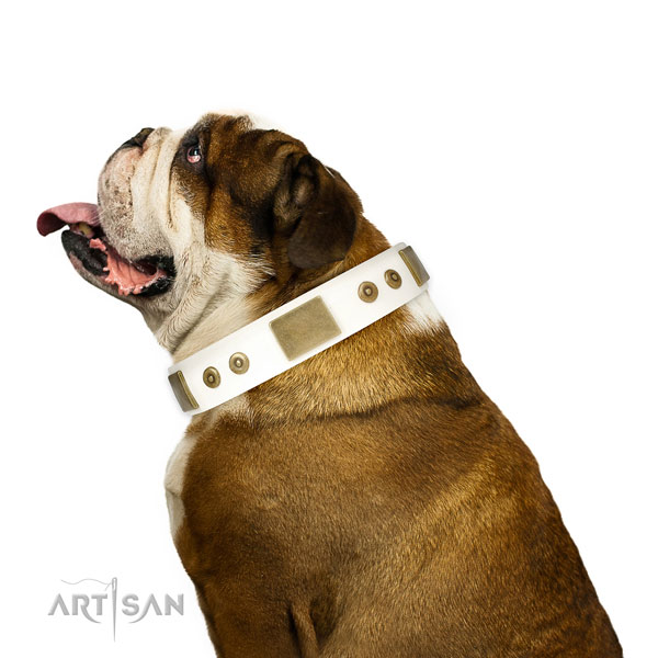 Durable daily walking dog collar of genuine leather