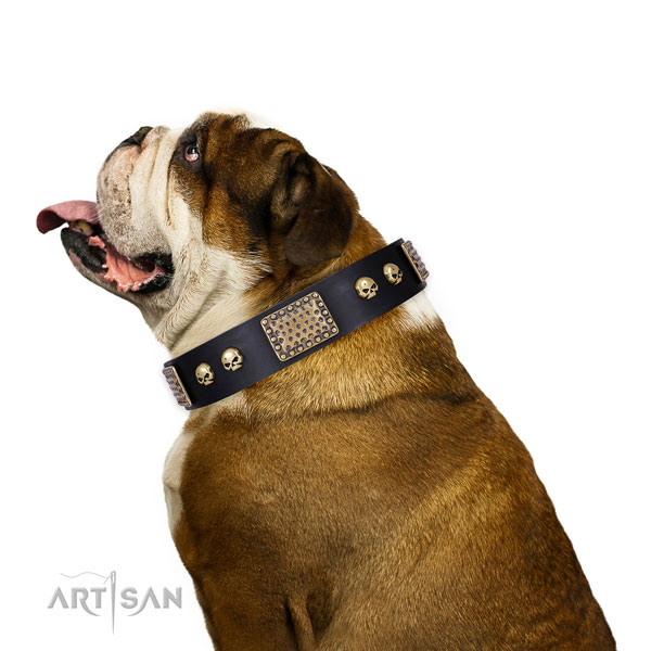 Exquisite genuine leather collar for your handsome pet