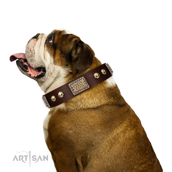 Corrosion resistant D-ring on full grain genuine leather dog collar for comfortable wearing