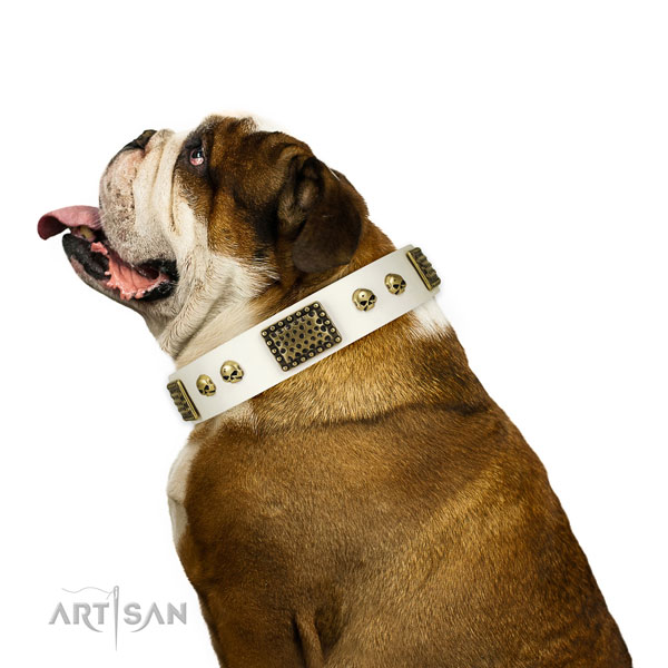 Rust-proof hardware on full grain natural leather dog collar for walking