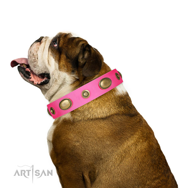 Walking dog collar of leather with impressive adornments
