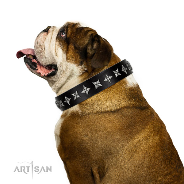 Everyday walking adorned dog collar of reliable genuine leather