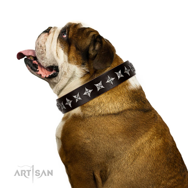 Comfortable wearing adorned dog collar of top quality leather