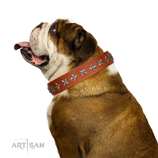 Top notch full grain natural leather dog collar with exquisite studs