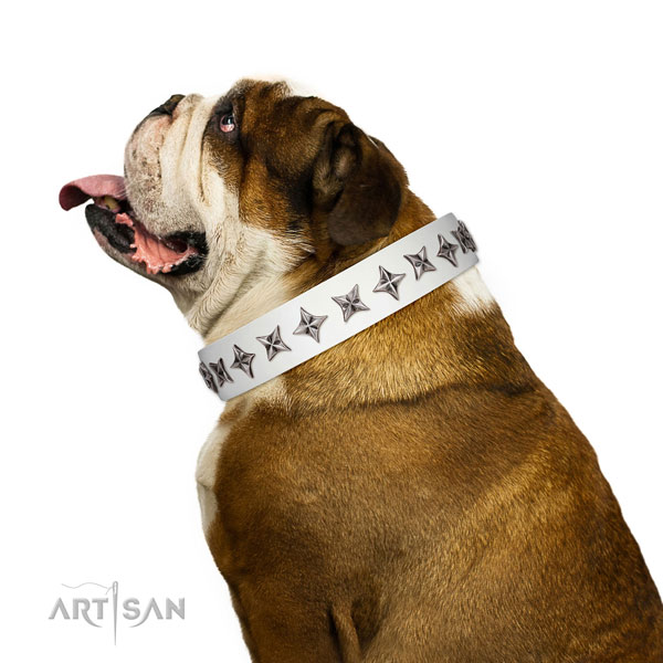 Durable full grain leather dog collar with stunning adornments