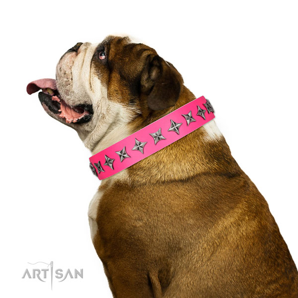 Strong leather dog collar with impressive adornments