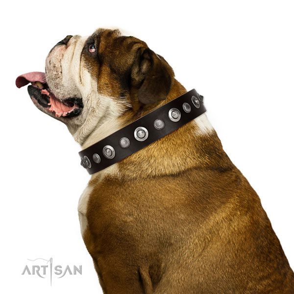 Durable full grain leather dog collar with inimitable decorations