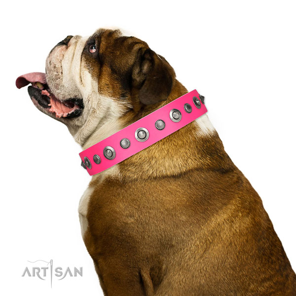 Full grain genuine leather collar with durable fittings for your beautiful doggie