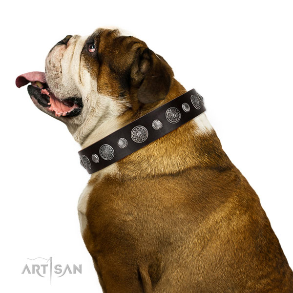 Leather collar with reliable buckle for your impressive dog