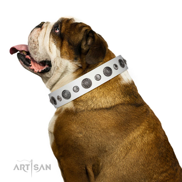 Impressive full grain genuine leather dog collar with corrosion proof fittings