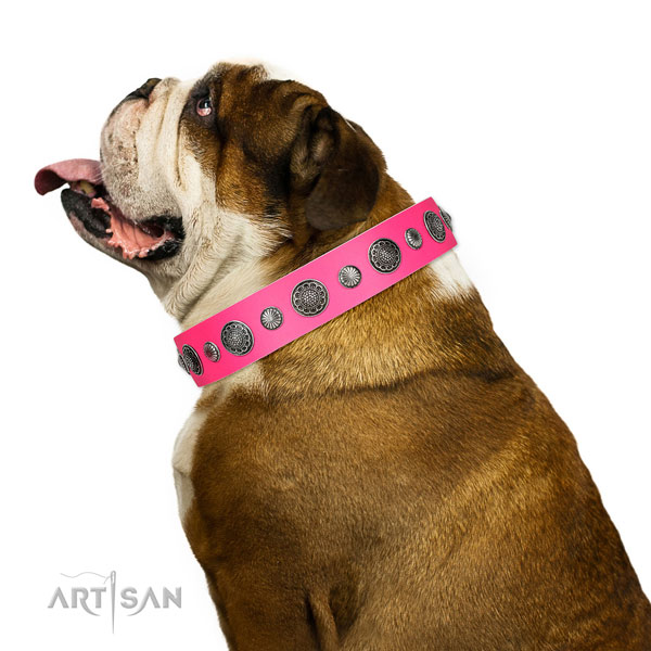 Stylish design natural leather dog collar with rust resistant fittings