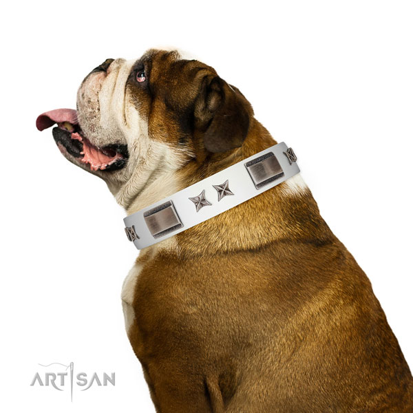 Fine quality collar of genuine leather for your lovely canine