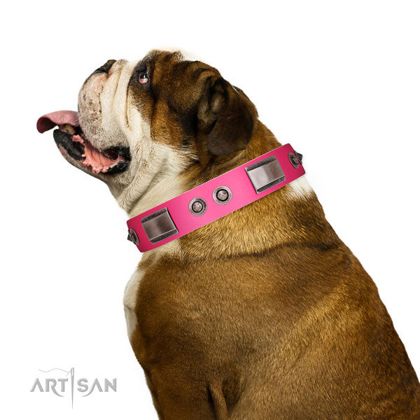 Top notch natural leather dog collar with adornments