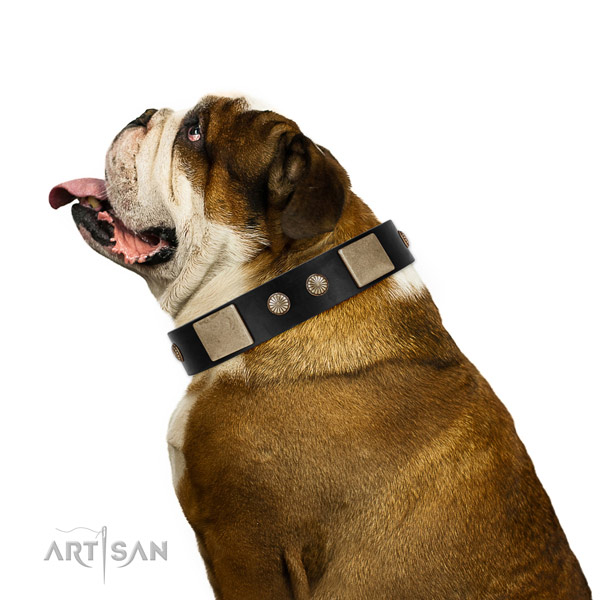 Comfortable leather collar for your lovely dog