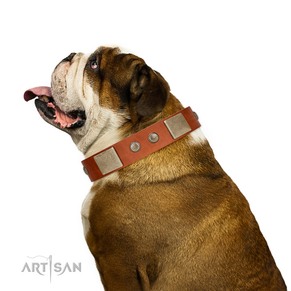 Exquisite genuine leather collar for your handsome pet