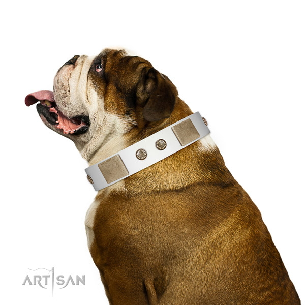 Rust-proof hardware on full grain natural leather dog collar for walking