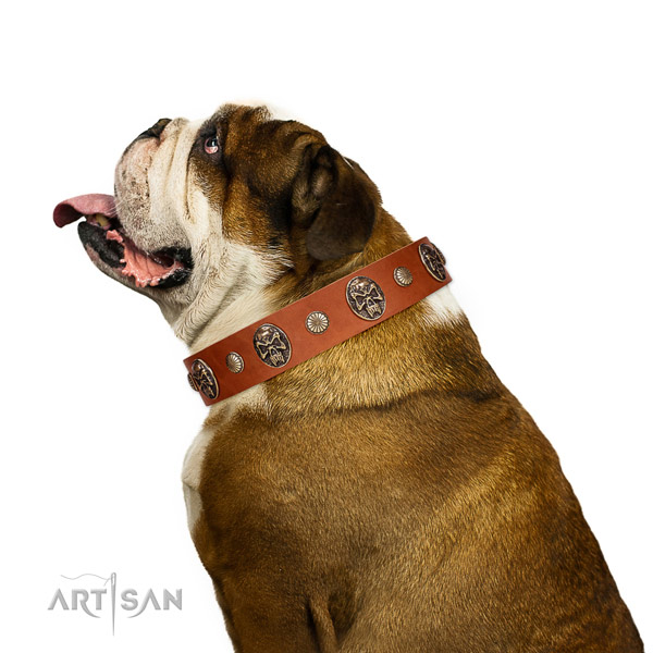 Natural leather dog collar with trendy decorations