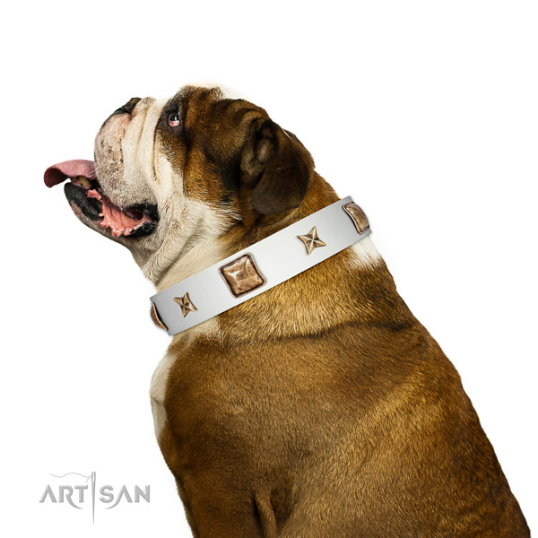 Fashionable genuine leather dog collar with embellishments