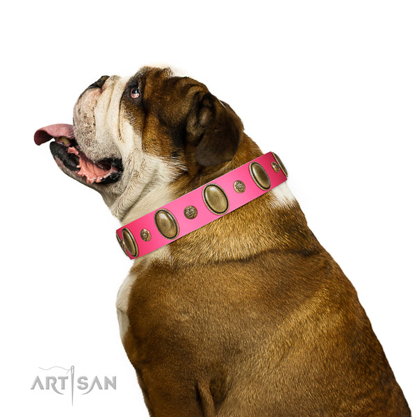 Comfortable wearing top notch full grain leather dog collar with embellishments