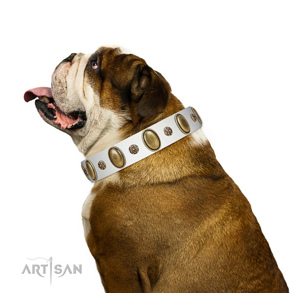 Stylish walking best quality leather dog collar with adornments