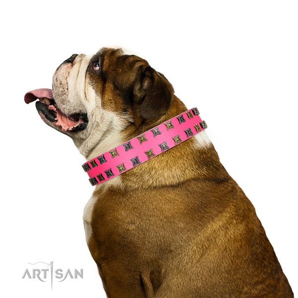 Soft full grain leather dog collar with studs for your pet