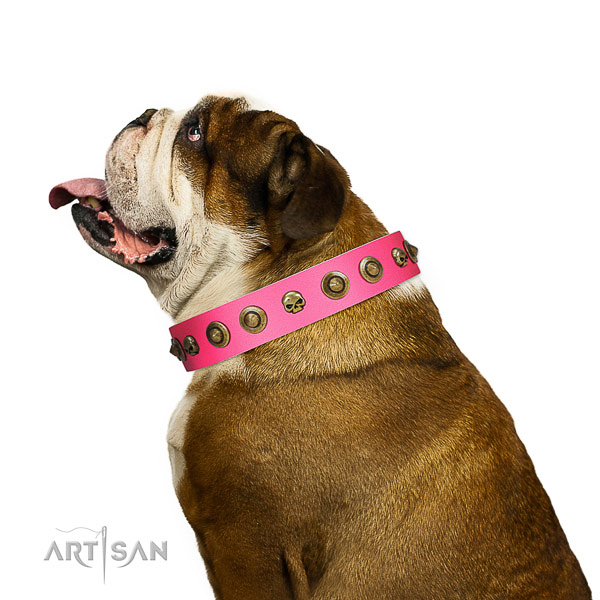Incredible decorations on genuine leather collar for your canine