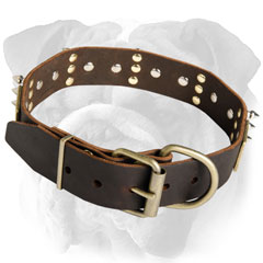 Leather Dog Collar Decorated with Spikes and Plates