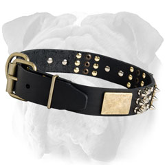 Plated Leather English Bulldog Collar with rustproof  Hardware